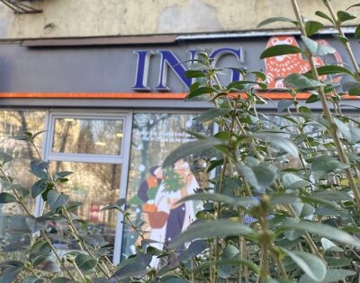 ing bank credit