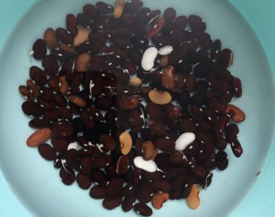 cos consum insolventa nivel trai rezonabil