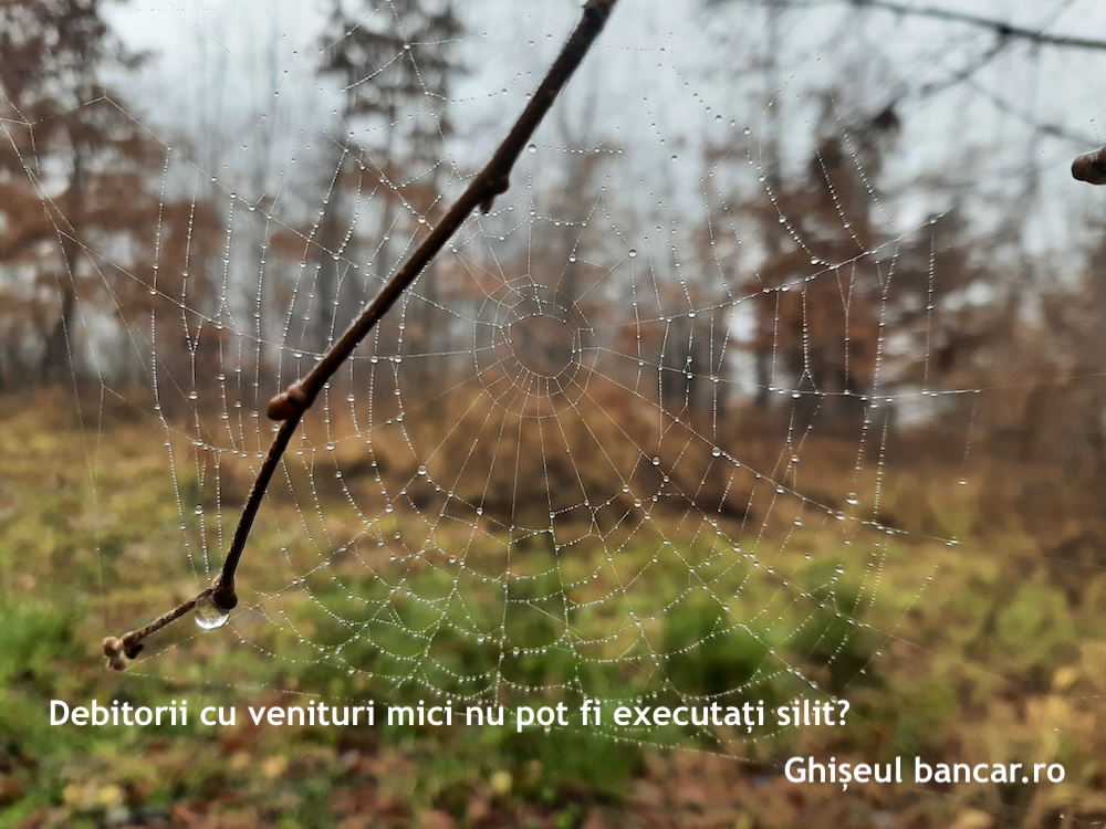 executare silita salariul minim economie