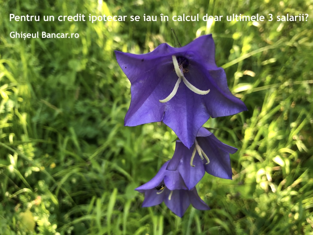 credit ipotecar salarii